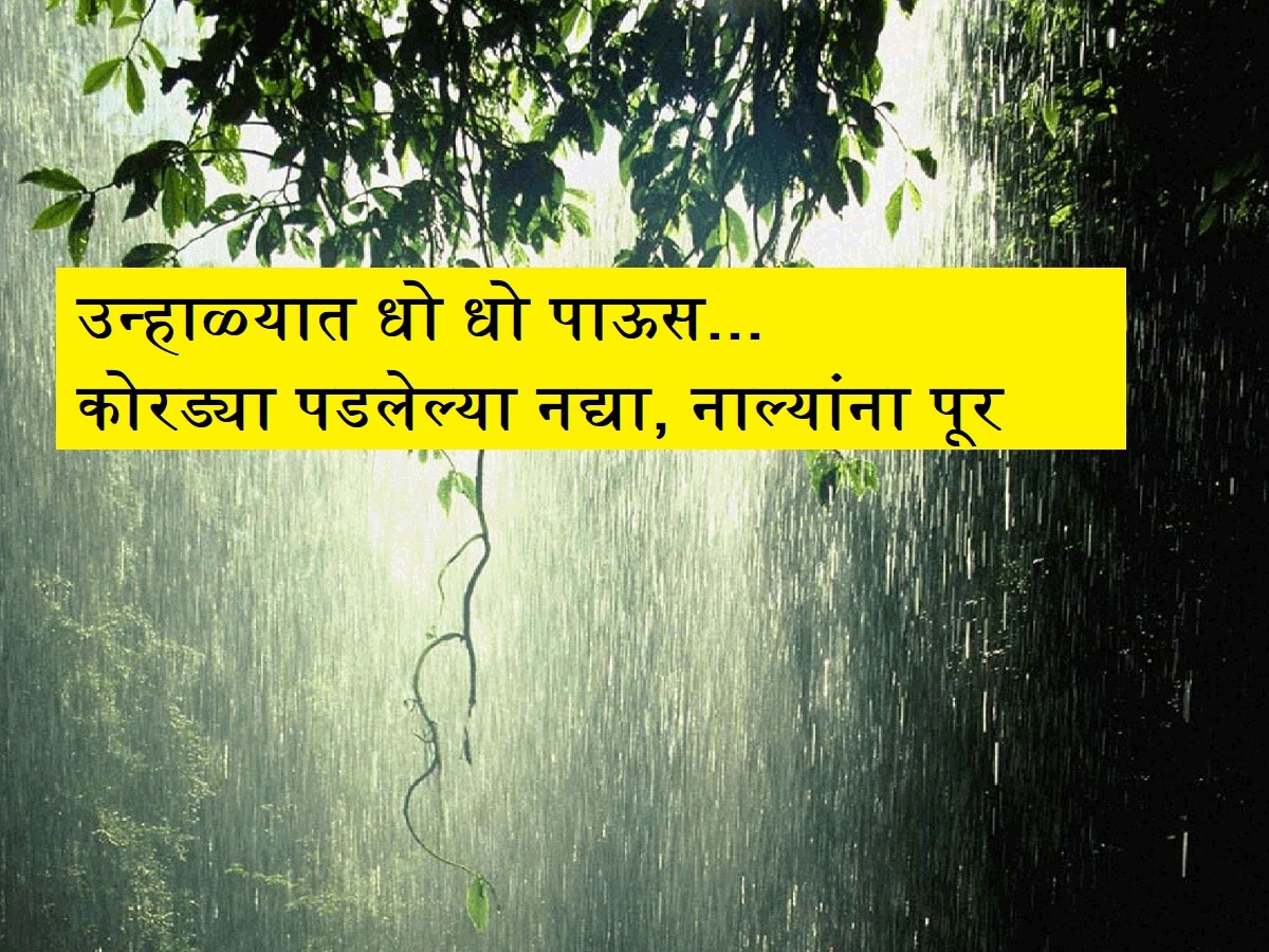 महाराष्ट्रात भयानक वातावरण! ऐन उन्हाळ्यात धो धो पाऊस, कोरड्या पडलेल्या नद्या, नाल्यांना पूर