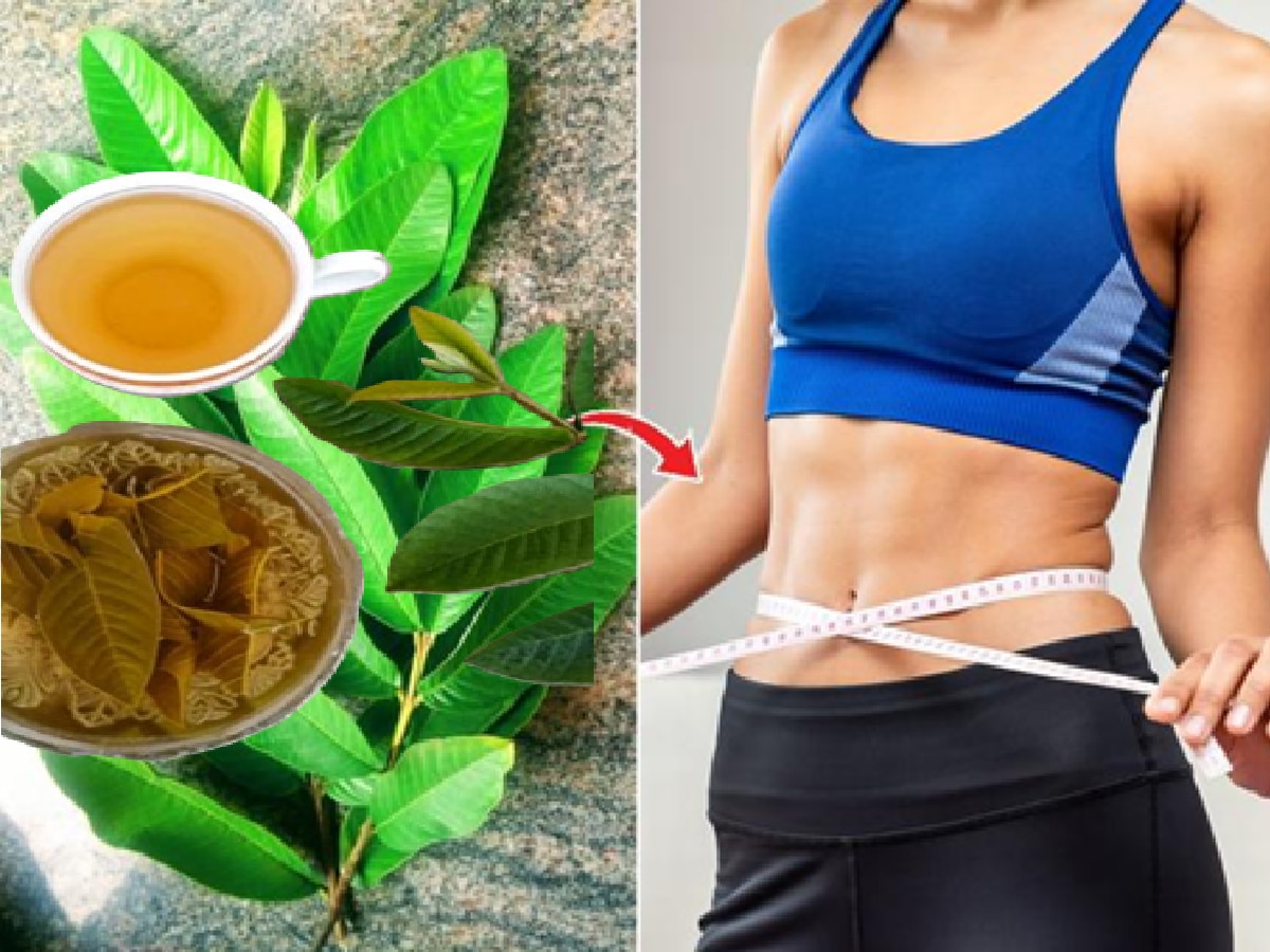Health Tips : आठवड्यातून तीन वेळा खा 'या' झाडांची पानं; वजन कमी करण्यापासून रोगप्रतिकारशक्ती वाढण्यास ठरते फायदेशीर Health Tips : आठवड्यातून तीन वेळा खा 'या' झाडांची पानं; वजन कमी करण्यापासून रोगप्रतिकारशक्ती वाढण्यास ठरते फायदेशीर