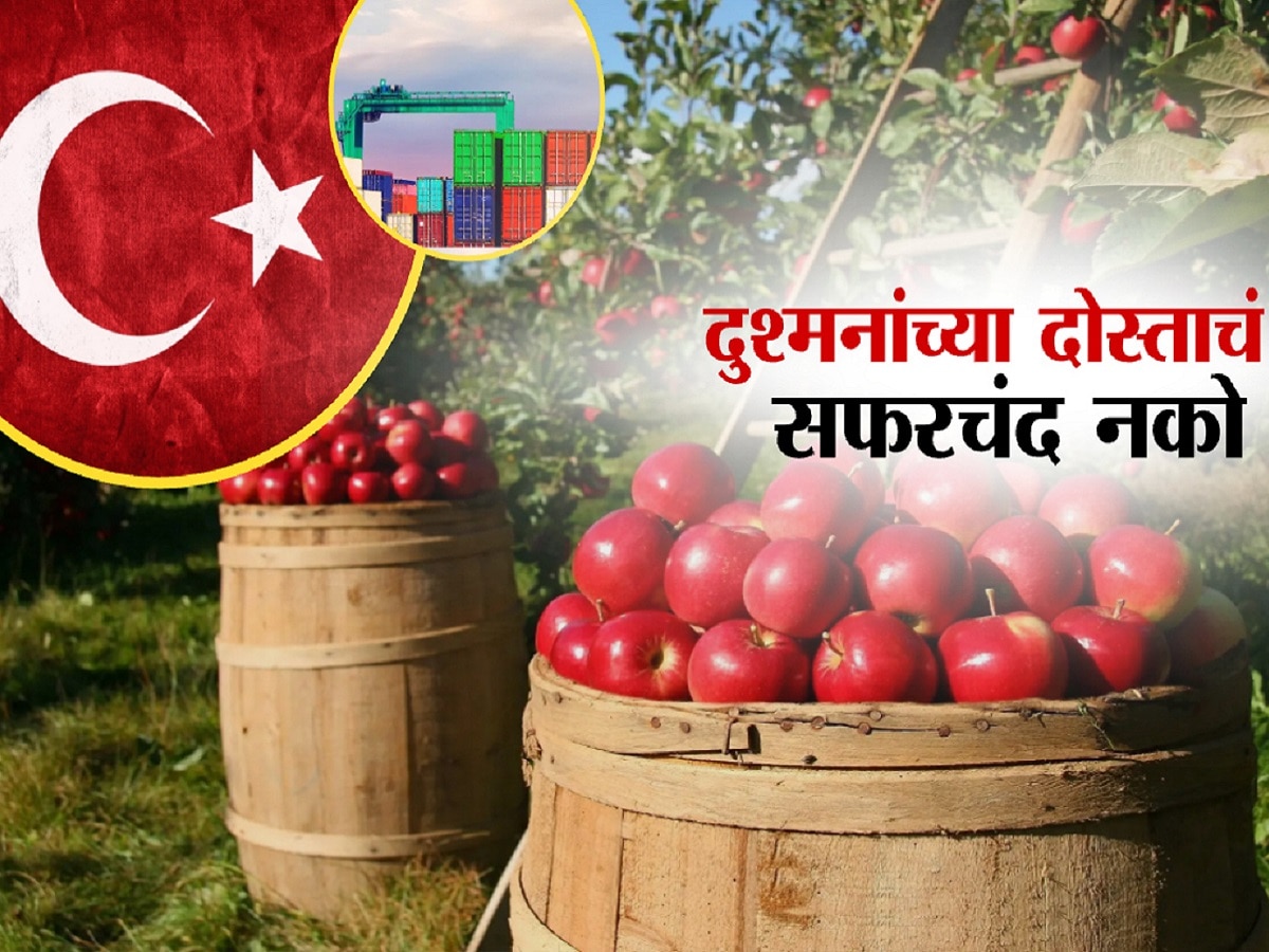 पाकिस्तानला मदत करणाऱ्या तुर्कीएच्या सफरचंदावर बहिष्कार, व्यापाऱ्यांकडून खरेदी-विक्री बंद