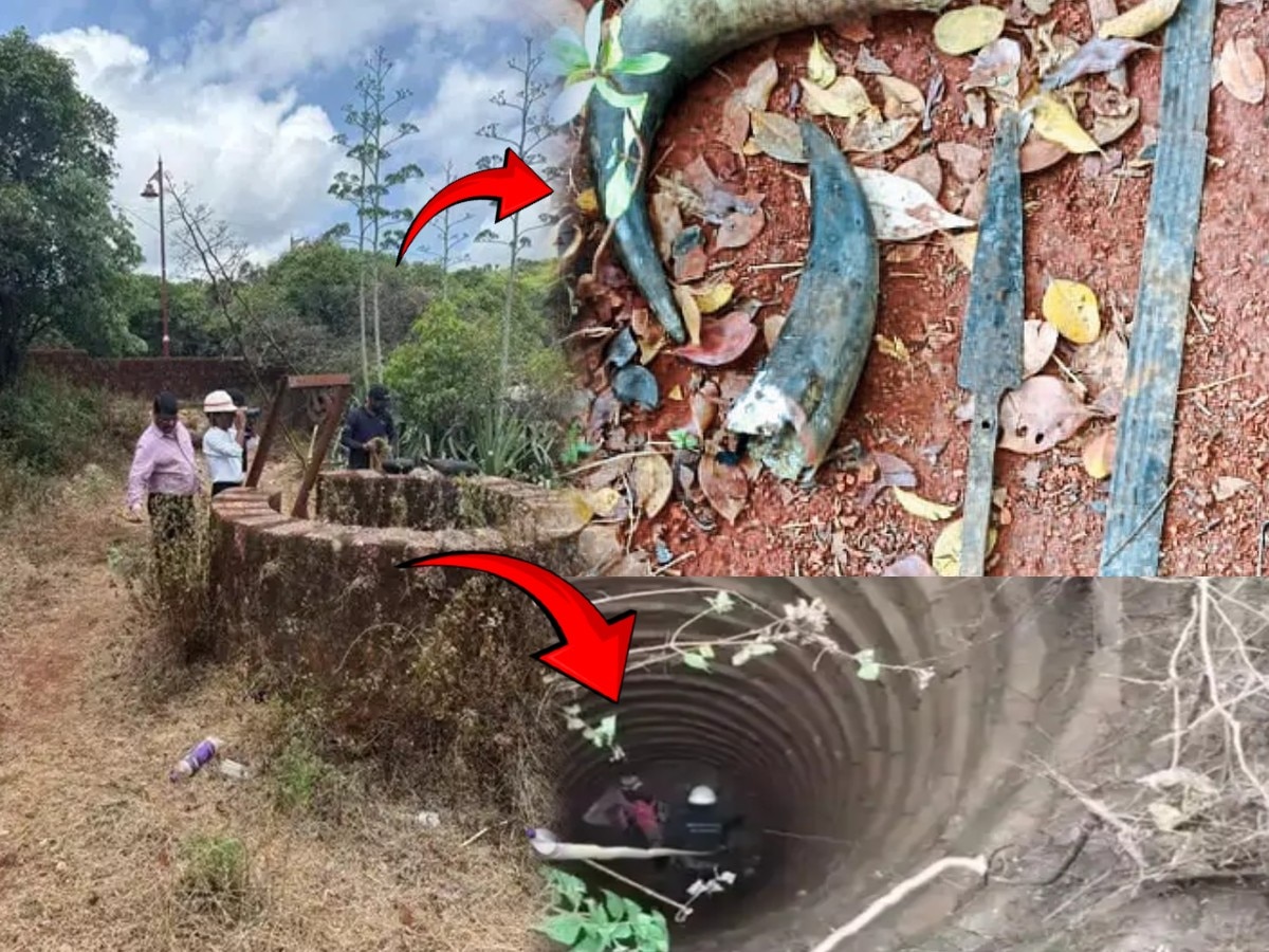 महाबळेश्वरमधील विहिरीत सापडला 350 वर्षांपूर्वीचा शिवकालीन ठेवा; धोप तलवारीची मूठ अन्…