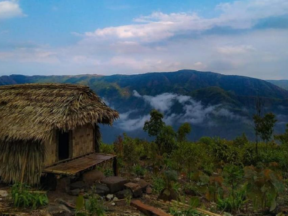 भारतातील एकमेव असं गाव, जिथे कुणालाच नाही नाव... मग एकमेकांशी कसे साधतात संवाद? भारतातील एकमेव असं गाव, जिथे कुणालाच नाही नाव... मग एकमेकांशी कसे साधतात संवाद?