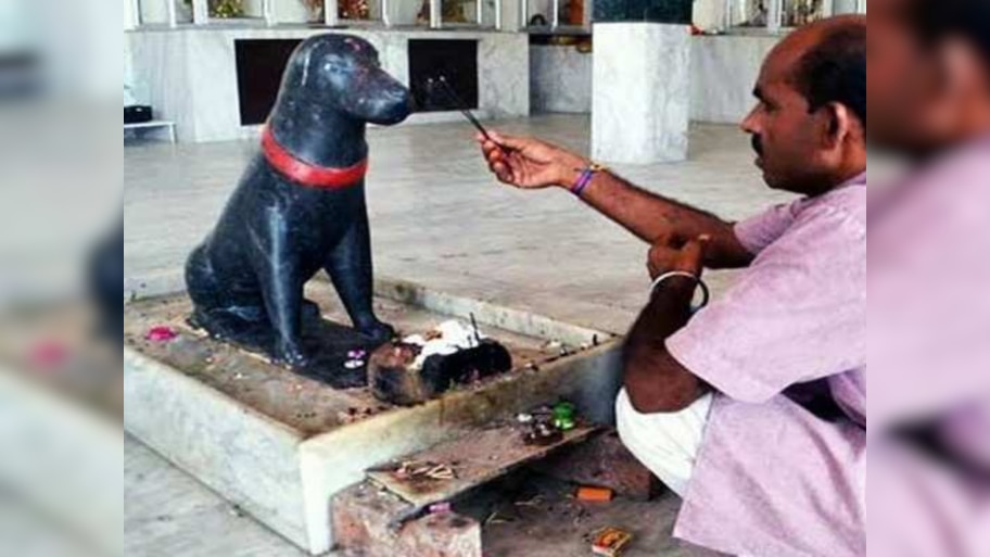 Dog Temples In India: देव-देवतांची नाही तर भारतातील 'या' मंदिरांमध्ये केली जाते कुत्र्यांची पूजा