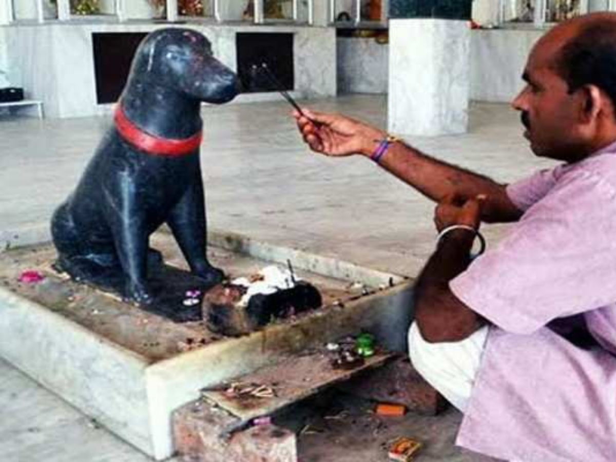 Dog Temples In India: देव-देवतांची नाही तर भारतातील 'या' मंदिरांमध्ये केली जाते कुत्र्यांची पूजा Dog Temples In India: देव-देवतांची नाही तर भारतातील 'या' मंदिरांमध्ये केली जाते कुत्र्यांची पूजा