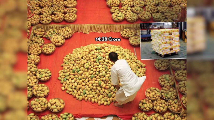 ...म्हणून महाराष्ट्रातून पाठवलेले 4.28 कोटी रुपयांचे आंबे अमेरिकेने कचऱ्यात फेकले; धक्कादायक कारण समोर