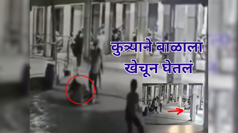कुत्र्याने 4 महिन्याच्या बाळाला हातातून ओढलं अन् घेतला जीव; अंगावर काटा आणणारा VIDEO