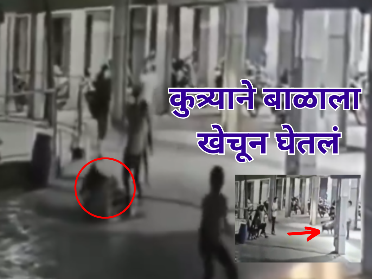 कुत्र्याने 4 महिन्याच्या बाळाला हातातून ओढलं अन् घेतला जीव; अंगावर काटा आणणारा VIDEO कुत्र्याने 4 महिन्याच्या बाळाला हातातून ओढलं अन् घेतला जीव; अंगावर काटा आणणारा VIDEO