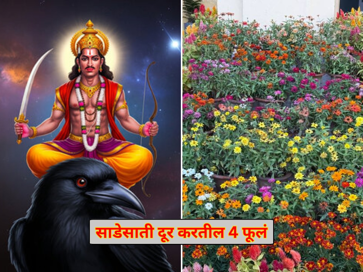 Shani Jayanti : शनी जयंतीला 4 फुलं महत्त्वाची; अर्पण करताच साडेसाती, पनवती होईल दूर