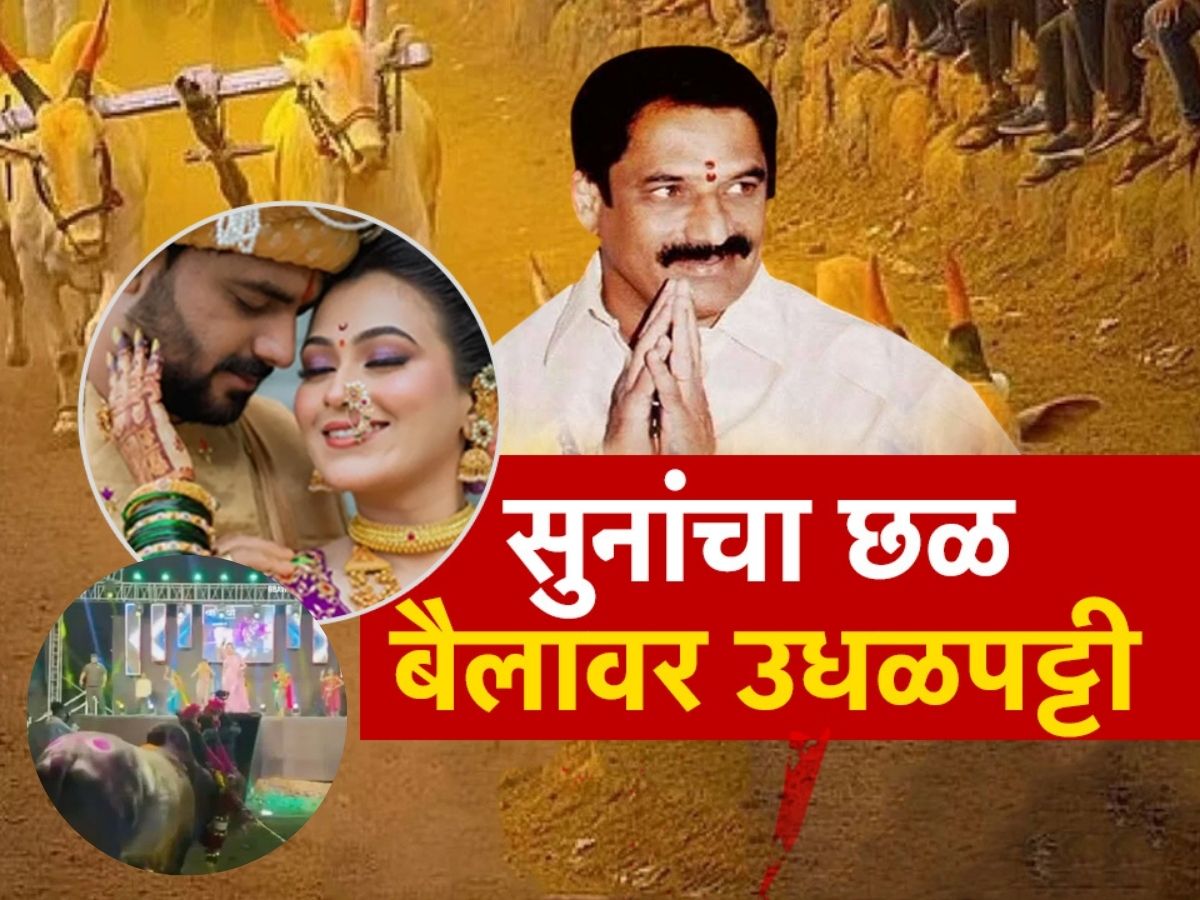 हगवणेंच्या घरात सुनांचा छळ बैलांवर उधळपट्टी; बैलासमोर नाचवली होती गौतमी पाटील, हुंड्यांच्या पैशांवर सुरु होता बडेजाव