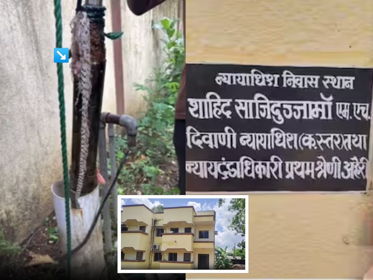 बोअरचं पाणी प्यायल्याने बिघडत होती तब्येत, न्यायाधीशांनी उघडून पाहिलं असता चक्रावले, आत चक्क मृत…