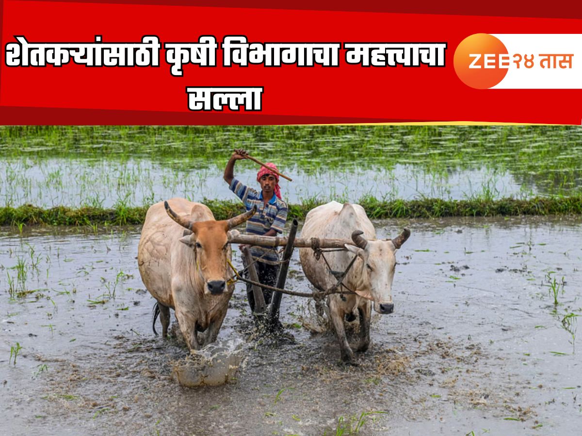 मान्सून आला, आता पेरण्या कधी कराव्यात? शेतकऱ्यांसाठी कृषी विभागाचा महत्त्वाचा सल्ला