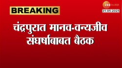 चंद्रपुरात मानव-वन्यजीव संघर्षाबाबत मुनगंटीवारांची उच्चस्तरीय बैठक