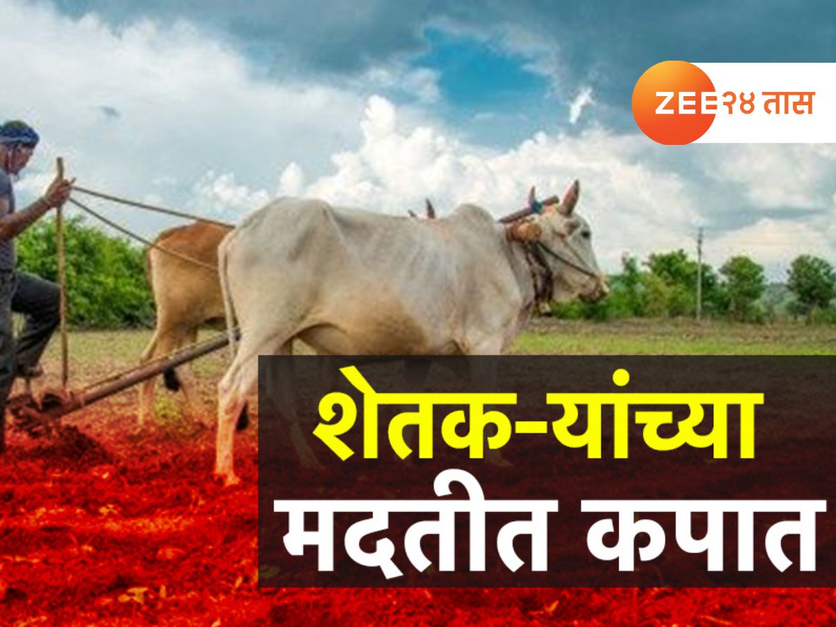 शेतकऱ्यांना दणका! राज्य सरकारकडून पीक नुकसान भरपाईच्या मदत रकमेत कपात