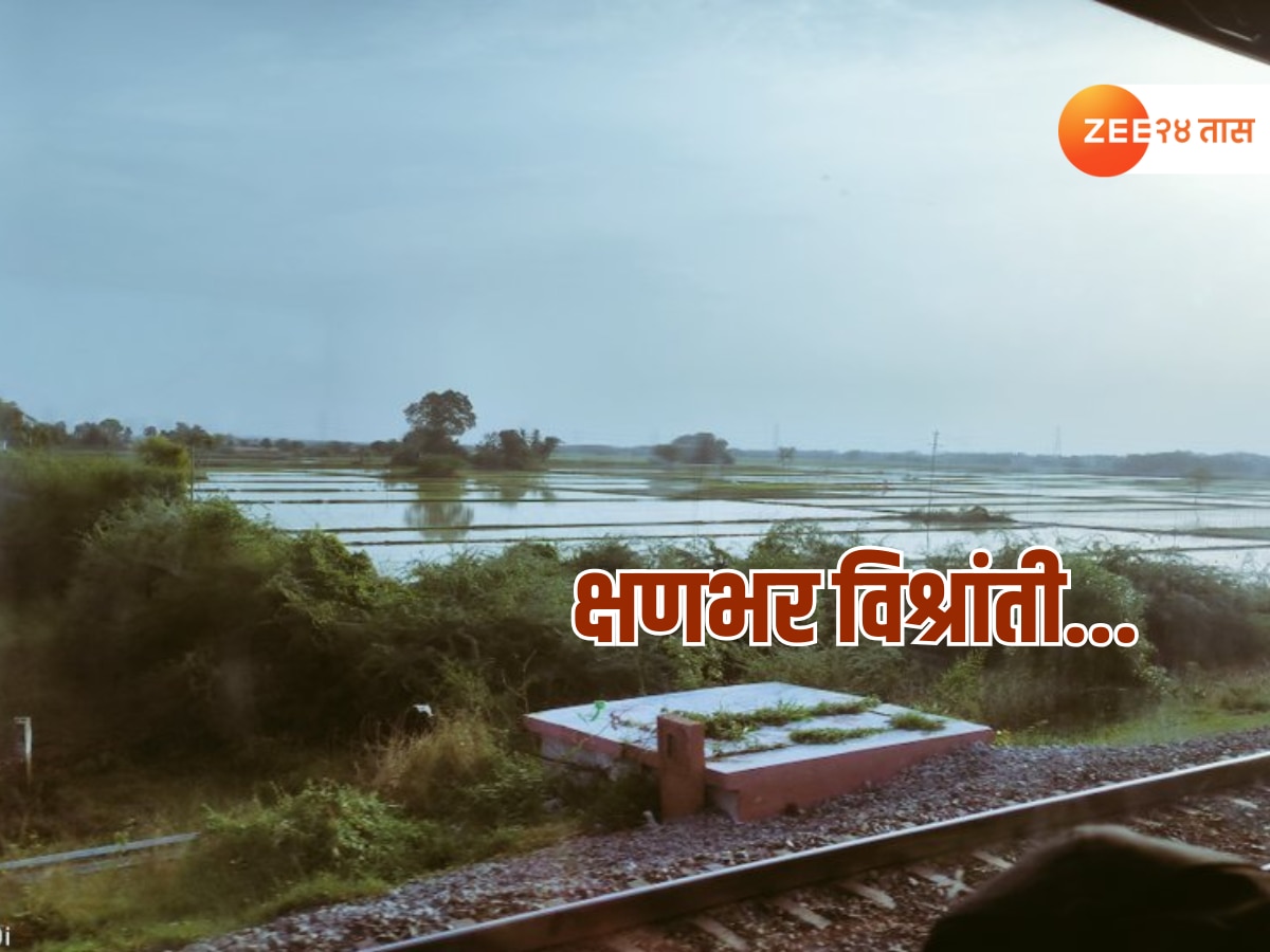 Maharashtra Weather : पहिल्या दोन दिवसात जोरदार बॅटींग करणाऱ्या पावसाची गती मंदावली; आता भेट थेट…