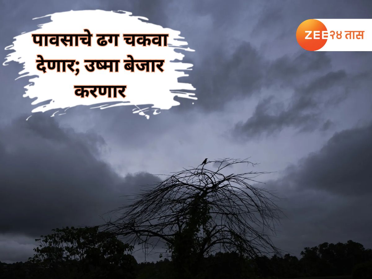 देशात चार दिशांना पावसाची चार विचित्र रुपं; महाराष्ट्राला मान्सूनचा चकवा, ईशान्य भारतात पूर अन् भूस्खलनाच्या घटना