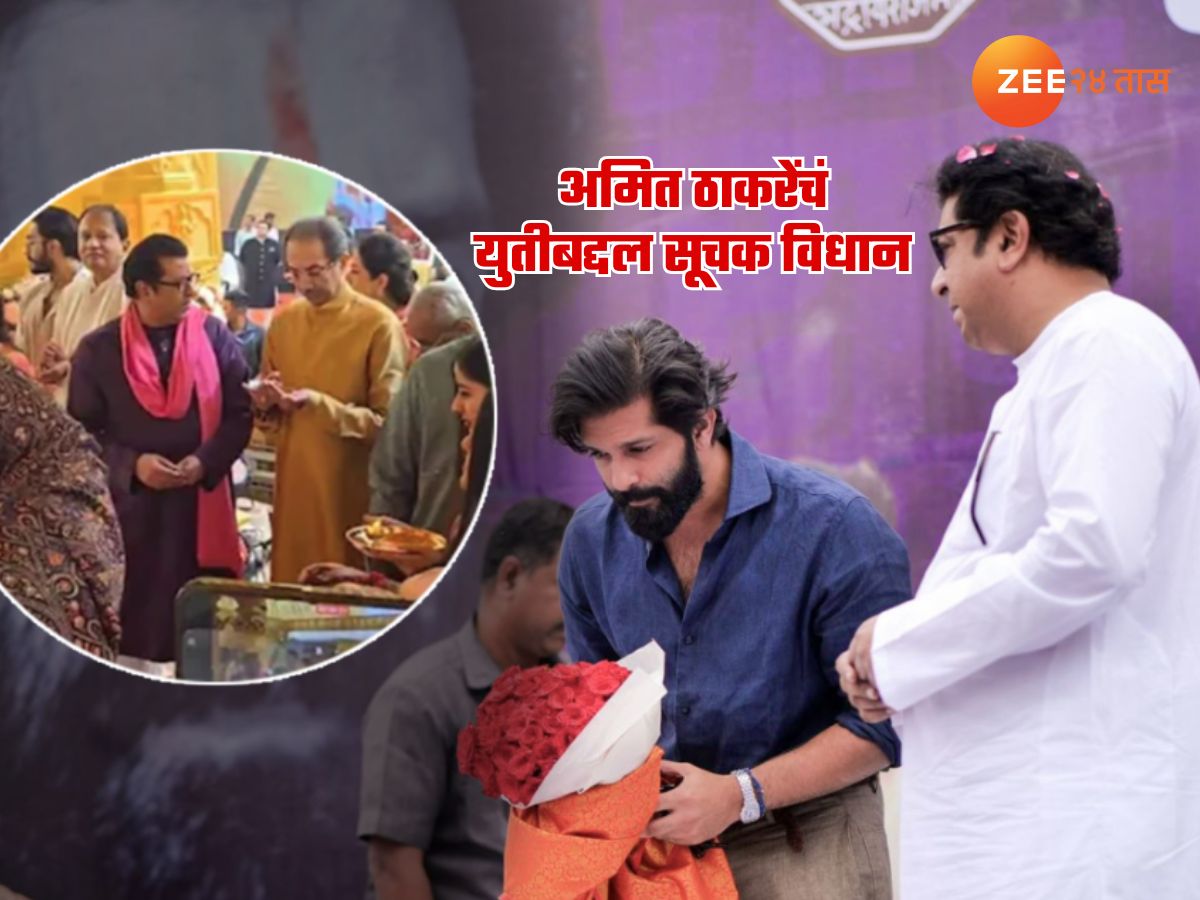 ‘दोन्ही भाऊ एकत्र आले तर…’, मनसे-सेना युतीवर अमित ठाकरेंचं सूचक विधान; म्हणाले, ‘दोघांकडे एकमेकांचे…’
