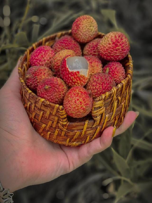 लिची खाण्याचे &#039;हे&#039; चविष्ट आणि आरोग्यदायी पर्याय ठरतील फायद्याचे