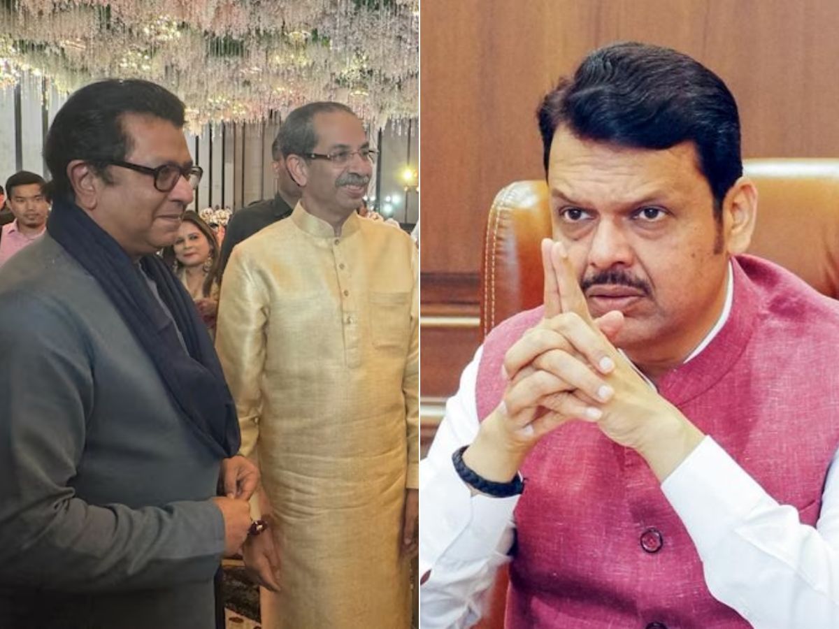 उद्धव-राज ठाकरे युतीवर फडणवीसांनी एका वाक्यात उत्तर देत विषयच संपवला, म्हणाले ‘जेव्हा…’
