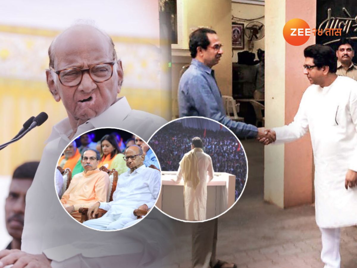 ठाकरे बंधू एकत्र येण्यावरुन पवारांचा टोला; उद्धव ठाकरेंचं नाव घेत म्हणाले, ‘राज ठाकरेंच्या…’