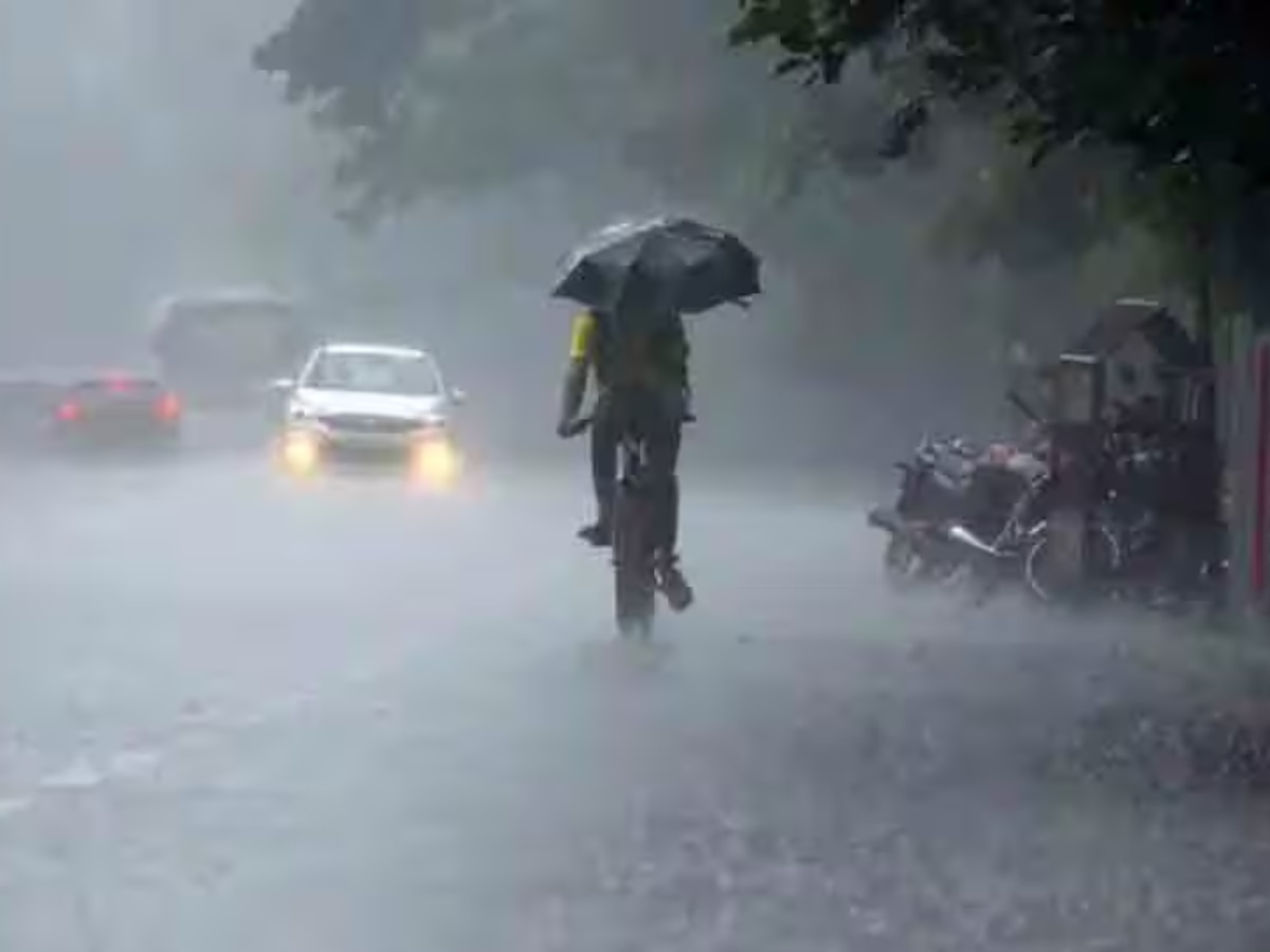राज्यात दोन दिवस मुसळधार पावसाचा इशारा! रायगड, रत्नागिरीला रेड अलर्ट, तुम्हाला शहरात काय परस्थिती? जाणून घ्या राज्यात दोन दिवस मुसळधार पावसाचा इशारा! रायगड, रत्नागिरीला रेड अलर्ट, तुम्हाला शहरात काय परस्थिती? जाणून घ्या