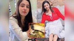 Sheetal Murder:  'तो मला मारतोय, जबरदस्ती...', शीतल चौधरीने हत्येपूर्वी केला होता VIDEO कॉल; हात आणि छातीवर...; प्रियकराला बेड्या