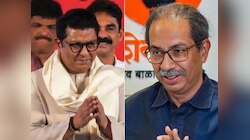 उद्धव ठाकरे आज राज ठाकरेंसोबत युती जाहीर करणार? संजय राऊतांनी केलं जाहीर, 'उद्धव यांनी इच्छेचा स्विकार...'