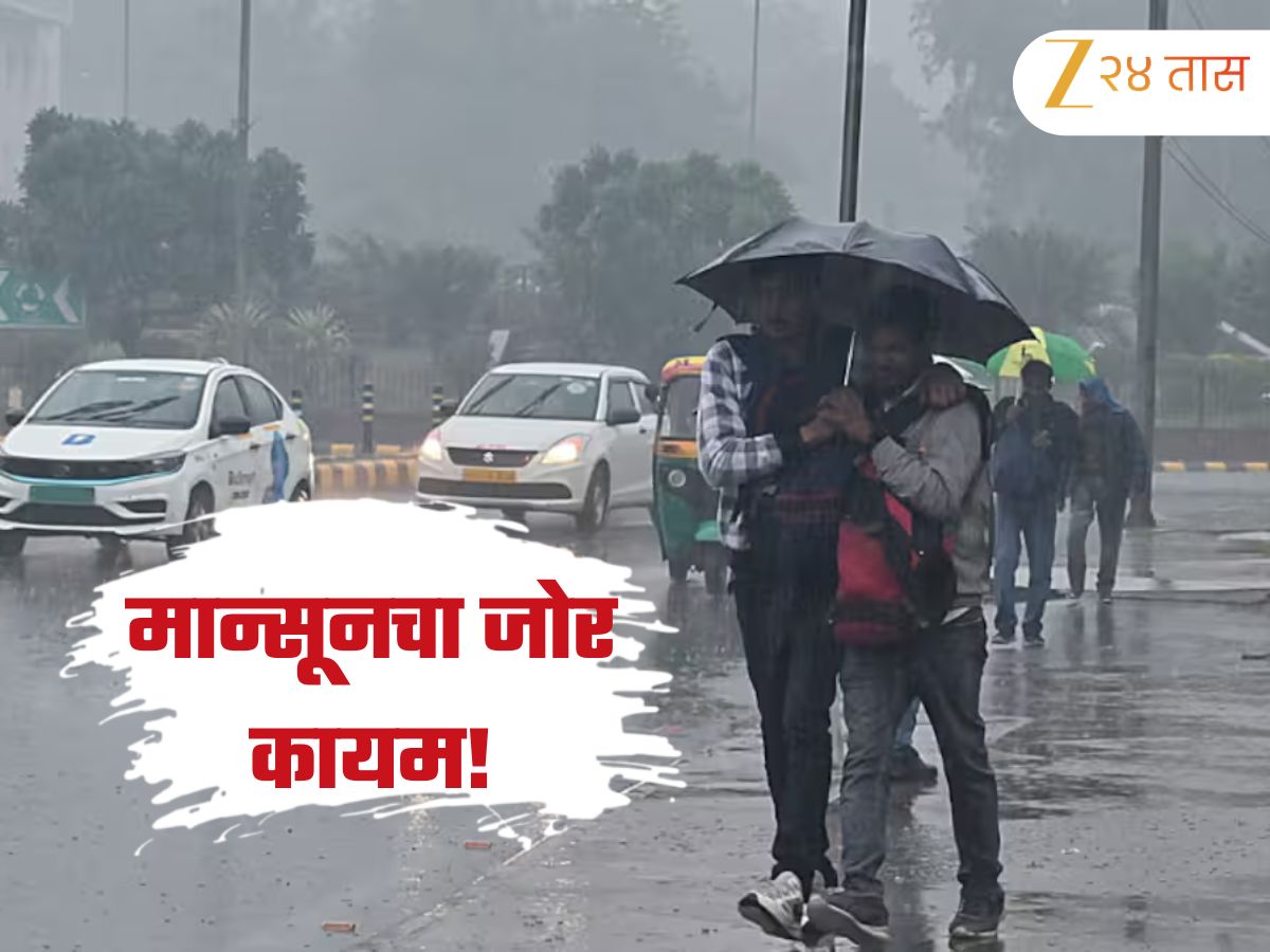 राज्यात अनेक ठिकाणी दमदार सरींची शक्यता, आयएमडीने अनेक शहरांसाठी जारी केला अलर्ट राज्यात अनेक ठिकाणी दमदार सरींची शक्यता, आयएमडीने अनेक शहरांसाठी जारी केला अलर्ट
