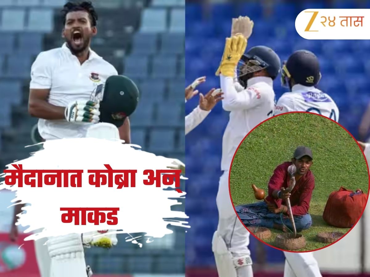 बापरे बाप! कोब्रा आणि माकडासह सामन्याला पोहोचला गारुडी! श्रीलंका-बांग्लादेश कसोटीत दिसले विचित्र दृश्य बापरे बाप! कोब्रा आणि माकडासह सामन्याला पोहोचला गारुडी! श्रीलंका-बांग्लादेश कसोटीत दिसले विचित्र दृश्य