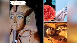 राजाच्या शापाने कॅन्सर बरा होणार का? शास्त्रज्ञांच्या संशोधनातून धक्कादायक सत्य समोर