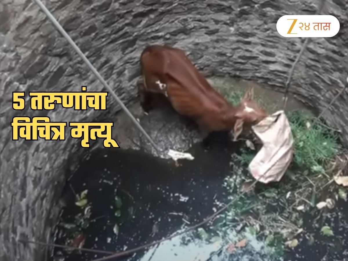 Madhya Pradesh Shocker 5 killed while trying to save cow from well ...