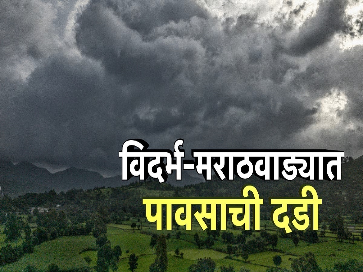 विदर्भ, मराठवाड्याकडे पावसाची पाठ, शेतकऱ्यांवर दुबार पेरणीचं संकट