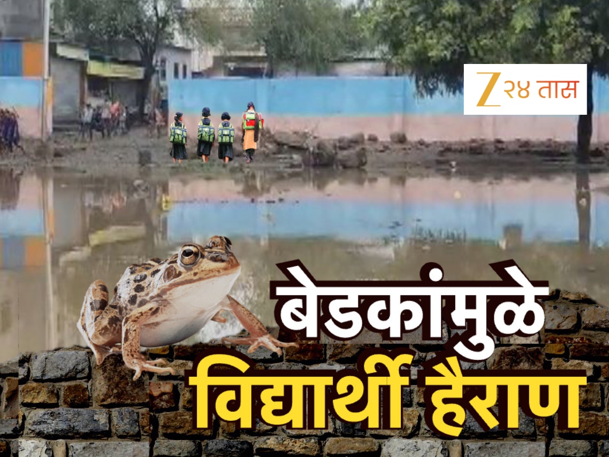 शाळेच्या मैदानातल्या तळ्यात बेडूक आणि साप, बेडकांच्या आवाजानं विद्यार्थी हैराण!