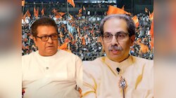 हिंदी भाषेसंदर्भातील GR रद्द; ठाकरेंच्या शिवसेनेसह मनसे युतीचं पुढं काय? राज ठाकरेंच्या भूमिकेकडे लक्ष