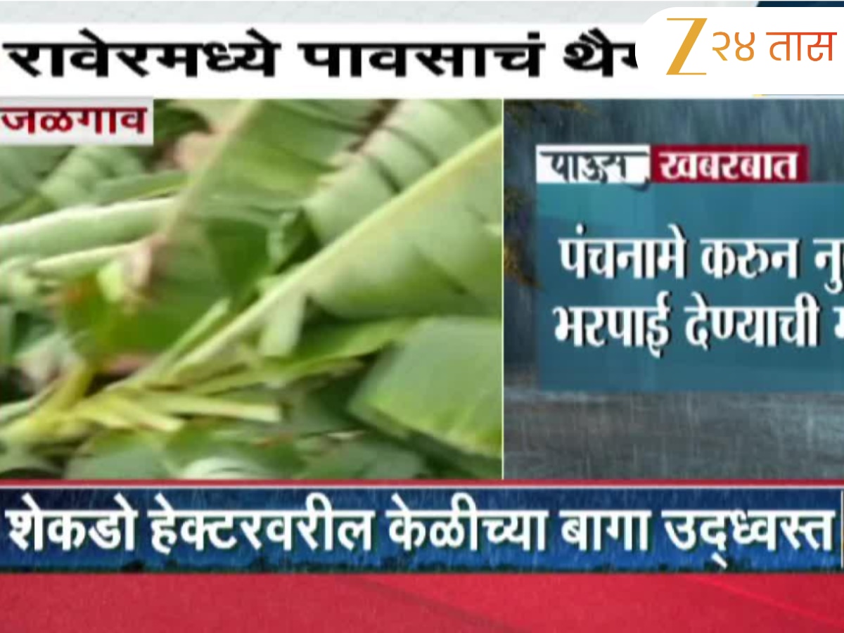 जळगावमध्ये वादळी वा-यासह पावसाने झोडपलं; रावेरमध्ये केळी उत्पादक शेतक-यांचं प्रचंड नुकसान