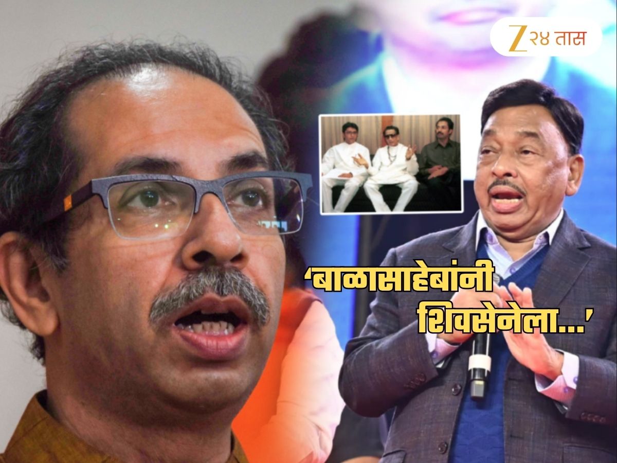 ‘उद्धव ठाकरेंनी राज ठाकरेंना छळलेलं’, राणेंचा घणाघात; म्हणाले, ‘मराठीबद्दल इतकेच…’
