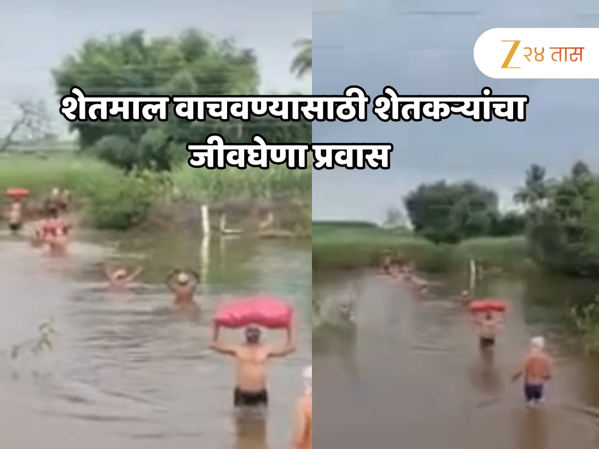 शेतमाल वाचवण्यासाठी छातीभर पाण्यातून शेतकऱ्याची कसरत; साताऱ्यातील Video पाहाच
