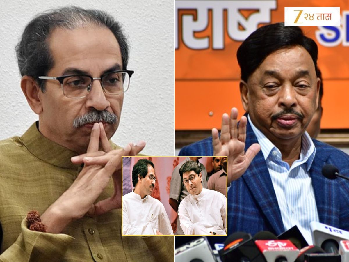 राज ठाकरेंनी शिवसेनेत यावं असं उद्धव ठाकरे कधीच का म्हणत नाहीत? नाराणय राणेंनी सांगितलं कारण, ‘उद्या जर…’ राज ठाकरेंनी शिवसेनेत यावं असं उद्धव ठाकरे कधीच का म्हणत नाहीत? नाराणय राणेंनी सांगितलं कारण, ‘उद्या जर…’