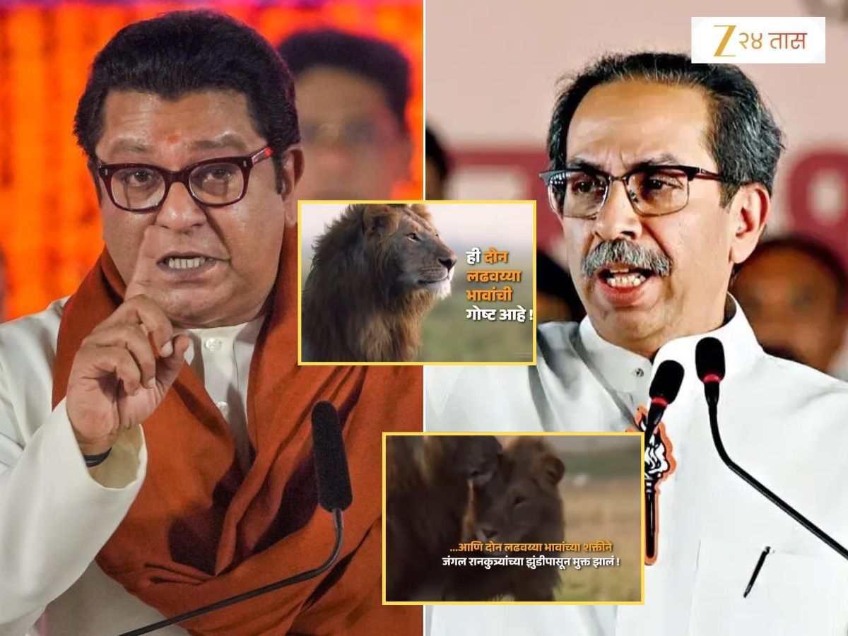 ‘सिंहाचा भाऊही लढाईत सामील,’ मनसेकडून 5 जुलैच्या सभेचा जबरदस्त टीझर; ‘दोन भावांनी हिंस्त्र झुंडीला पळवून लावलं’ ‘सिंहाचा भाऊही लढाईत सामील,’ मनसेकडून 5 जुलैच्या सभेचा जबरदस्त टीझर; ‘दोन भावांनी हिंस्त्र झुंडीला पळवून लावलं’
