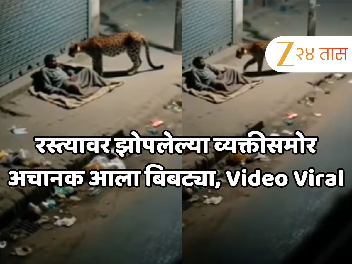 मध्यरात्री रस्त्यावर झोपलेल्या व्यक्तीसमोर अचानक आला बिबट्या, त्याच्या ‘त्या’ कृतीमुळे बिबट्याची माघार