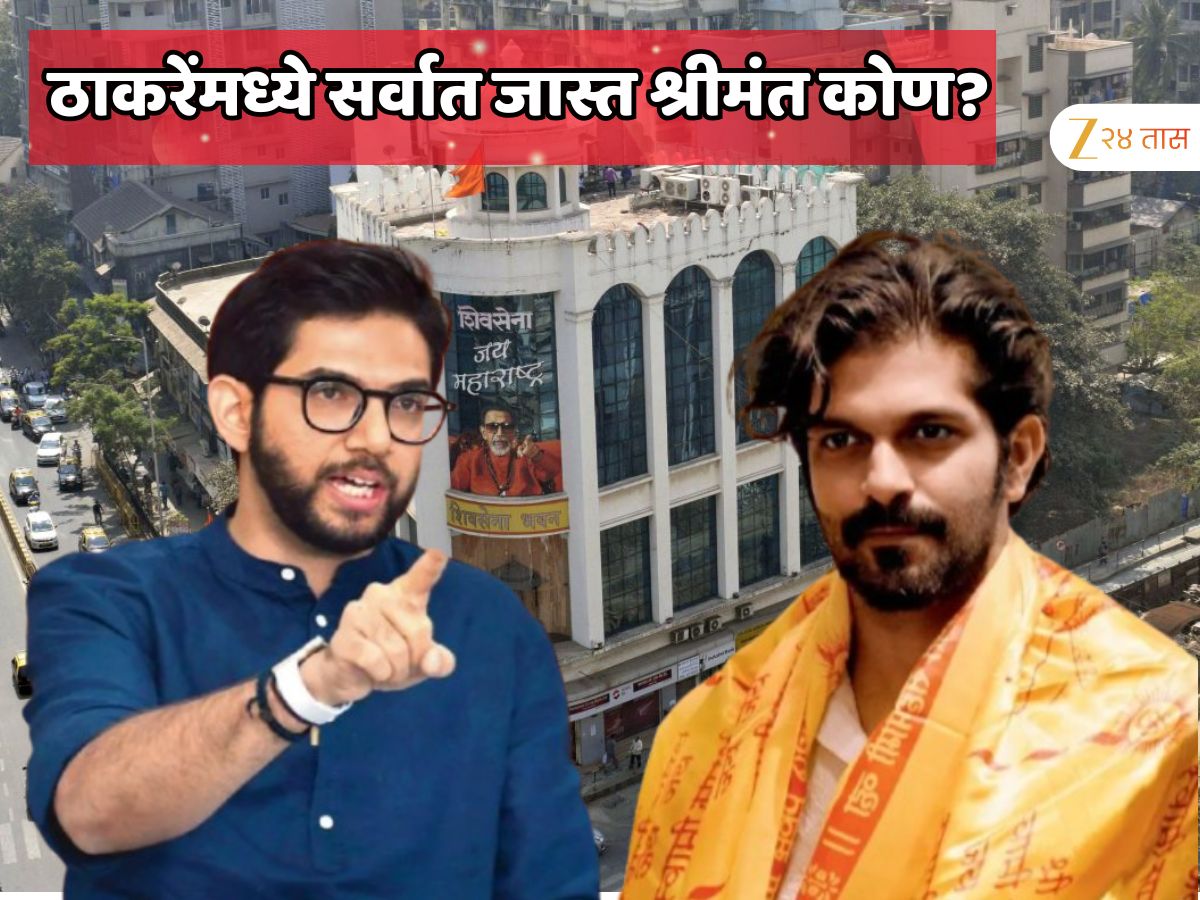 दोन्ही ठाकरेंमध्ये सर्वात जास्त श्रीमंत कोण? आदित्य आणि अमित यांच्या सपत्तीवरुन सगळं लक्षात येईल