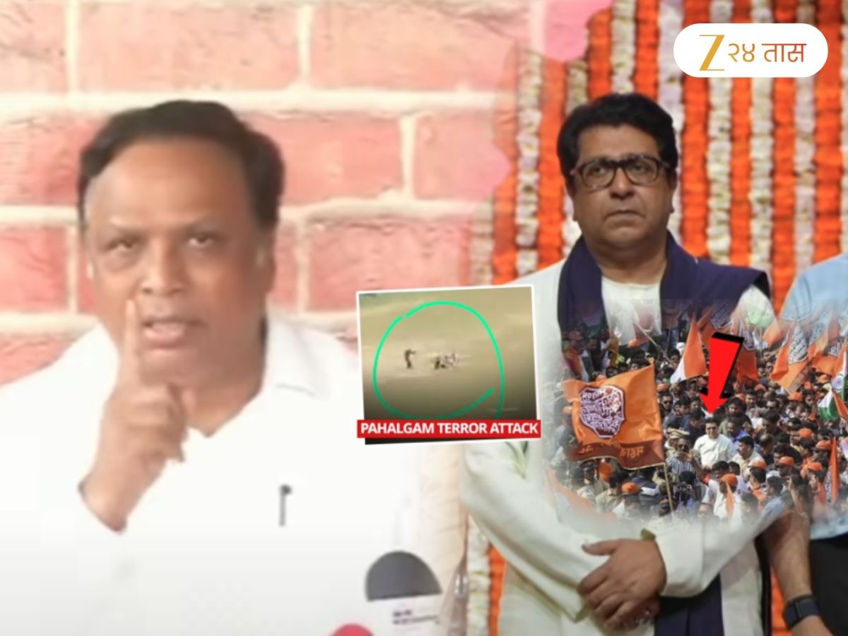 टीका करताना शेलारांचा तोल सुटला! मनसे कार्यकर्त्यांची पहलगामच्या दहशतवाद्यांशी तुलना; म्हणाले, ‘त्यांनी…’
