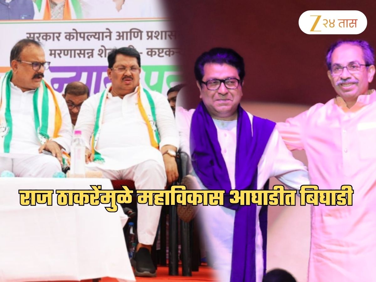 …म्हणून काँग्रेसला महाविकास आघाडीत राज ठाकरे नकोत? खरं कारण समोर; म्हणाले, 'ठाकरे बंधूंचे…'