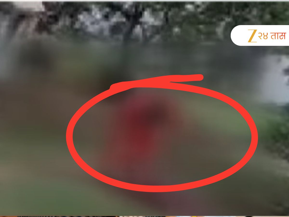 लातूर हादरले! 70 वर्षांच्या सासूला सुनेकडून अमानूष मारहाण, शेतीच्या कामावरुन वाद, Video Viral लातूर हादरले! 70 वर्षांच्या सासूला सुनेकडून अमानूष मारहाण, शेतीच्या कामावरुन वाद, Video Viral