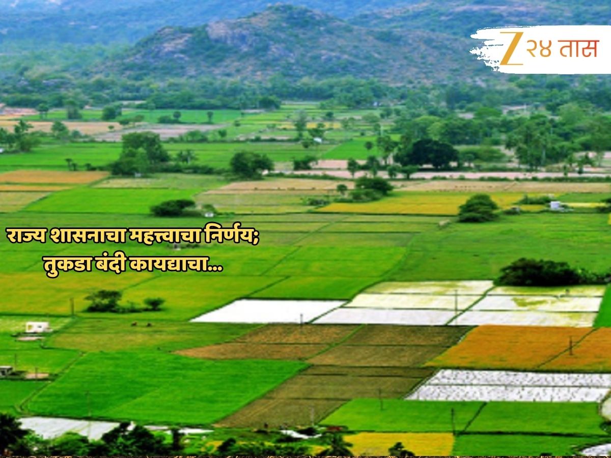 राज्य शासनाचा महत्त्वाचा निर्णय; 5 लाखांहून अधिक कुटुंबांना लाभ होणार, कसा? पाहा सविस्तर वृत्त