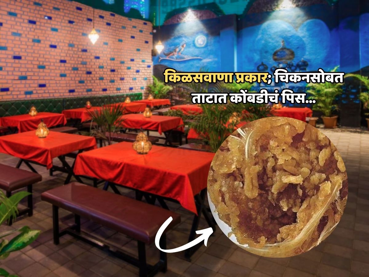 हॉटेलात चिकनसोबत, ताटात कोंबडीचं पिस; किळसवाण्या प्रकरणानंतर पुण्यातील ‘त्या’ हॉटेलवर प्रशासनाची नजर हॉटेलात चिकनसोबत, ताटात कोंबडीचं पिस; किळसवाण्या प्रकरणानंतर पुण्यातील ‘त्या’ हॉटेलवर प्रशासनाची नजर