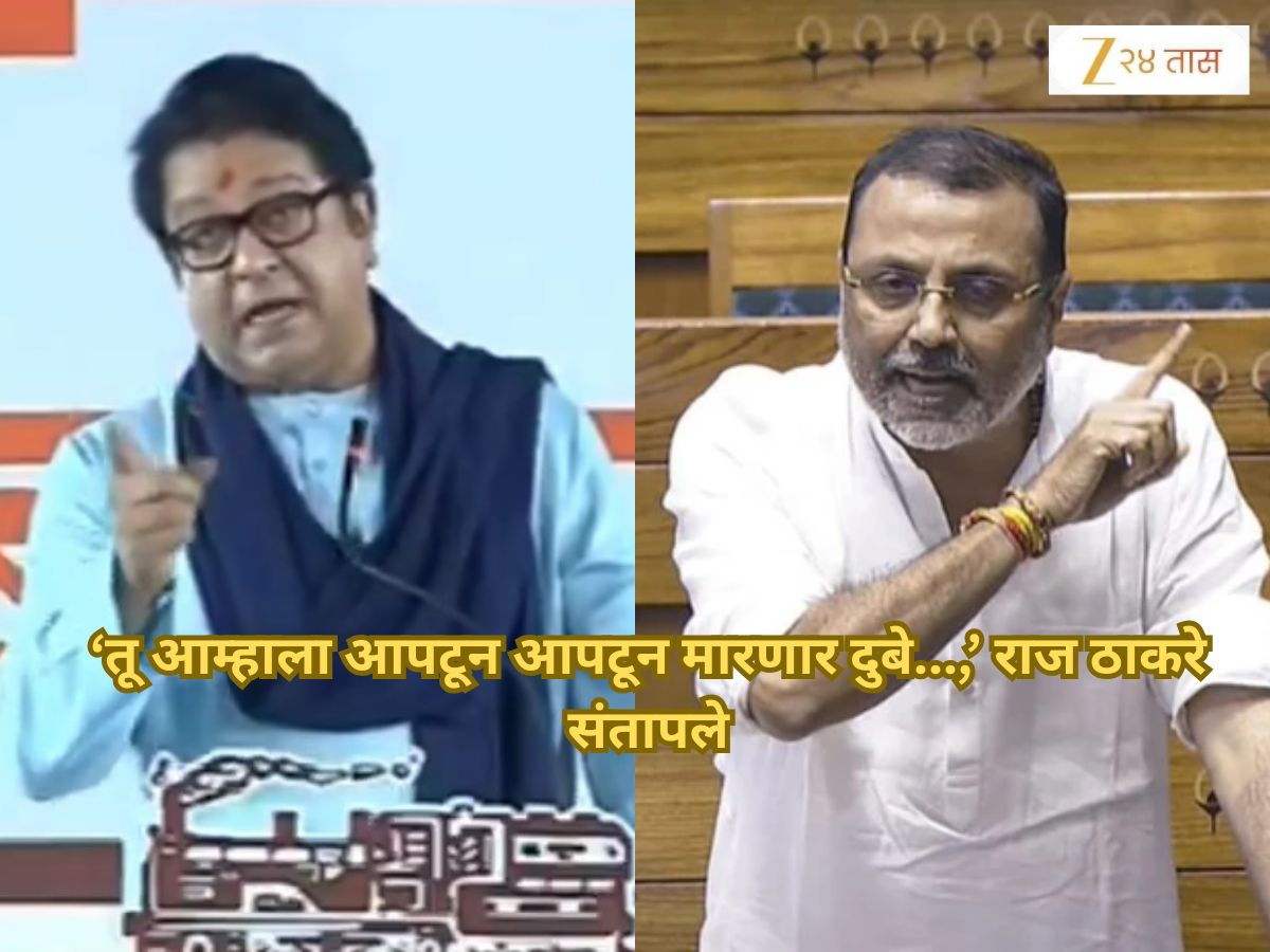 'मराठी लोकांना आपटून आपटून मारु' म्हणणाऱ्या निशिकांत दुबेंना राज ठाकरेंचा जाहीर इशारा, म्हणाले, 'दुबे तू फक्त मुंबईत...' 'मराठी लोकांना आपटून आपटून मारु' म्हणणाऱ्या निशिकांत दुबेंना राज ठाकरेंचा जाहीर इशारा, म्हणाले, 'दुबे तू फक्त मुंबईत...'