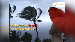 चक्रीवादळाचे संकेत! कोकणासह राज्याच्या 'या' भागाला पावसाचा रेड अलर्ट