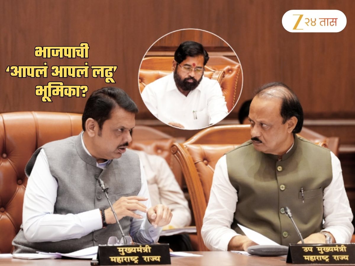 बालेकिल्ल्यात सगळेच मित्रांनाही दाखवणार ताकद! महायुतीतले पक्ष ‘हे’ एक शहर वगळता सगळीकडे एकटेच लढणार?