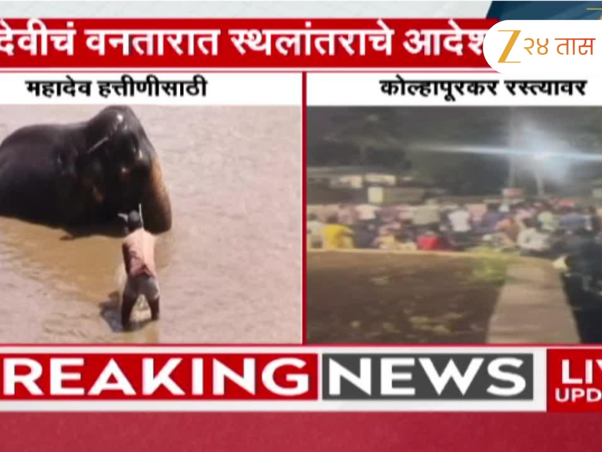 हत्तीणीचं गुजरातच्या वनतारात स्थलांतर; हत्ती बचाव कृती समितीकडून कोल्हापुरात मूकमोर्चा