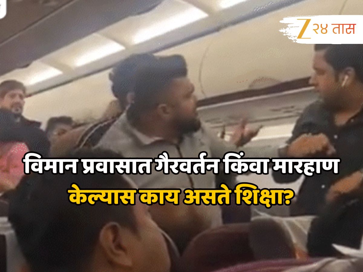 विमान प्रवासात गैरवर्तन किंवा मारहाण केल्यास काय असते शिक्षा? जाणून घ्या नियम आणि कायदे