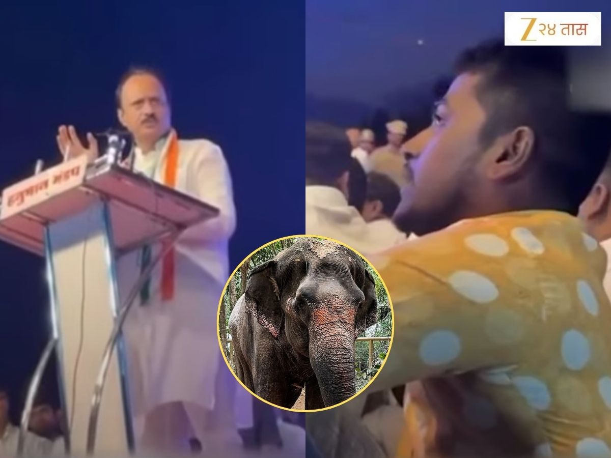 ‘दादा माधुरी हत्तीणीला परत आणा, ती कोल्हापूरची’, तरुणाची भरसभेत मागणी; अजित पवार भाषण थांबवत म्हणाले ‘तुला लय..’